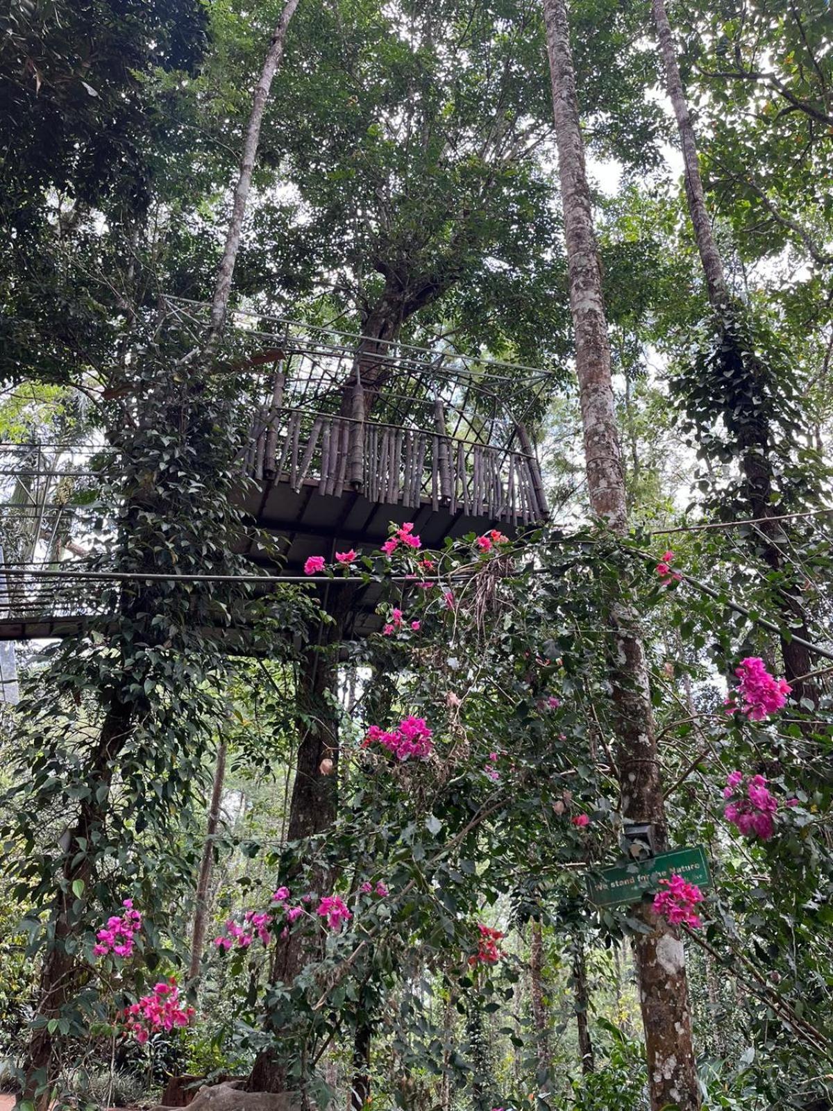 Jungle Jive Treehouse And Farm House Munnar Luaran gambar