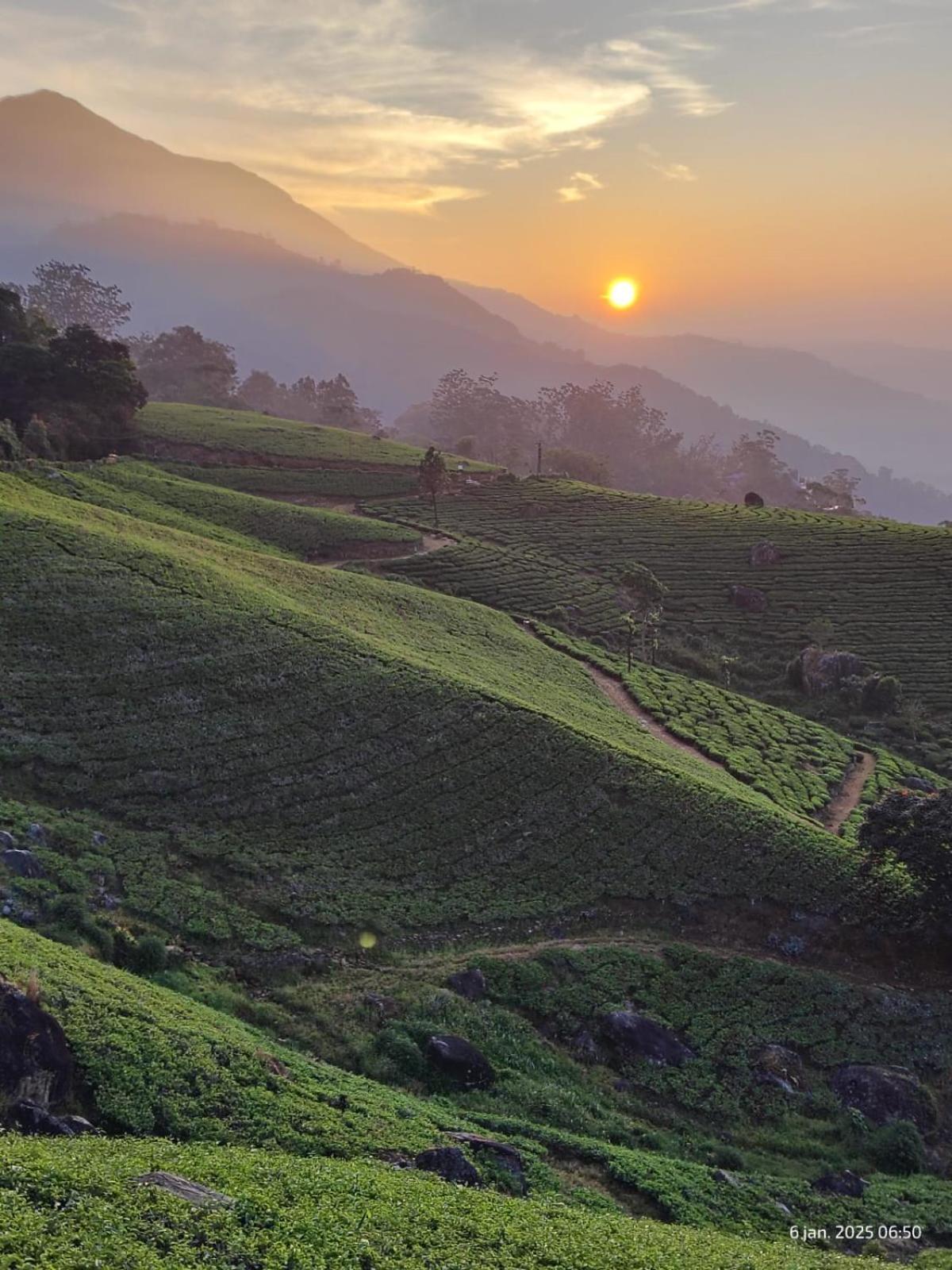 Jungle Jive Treehouse And Farm House Munnar Luaran gambar
